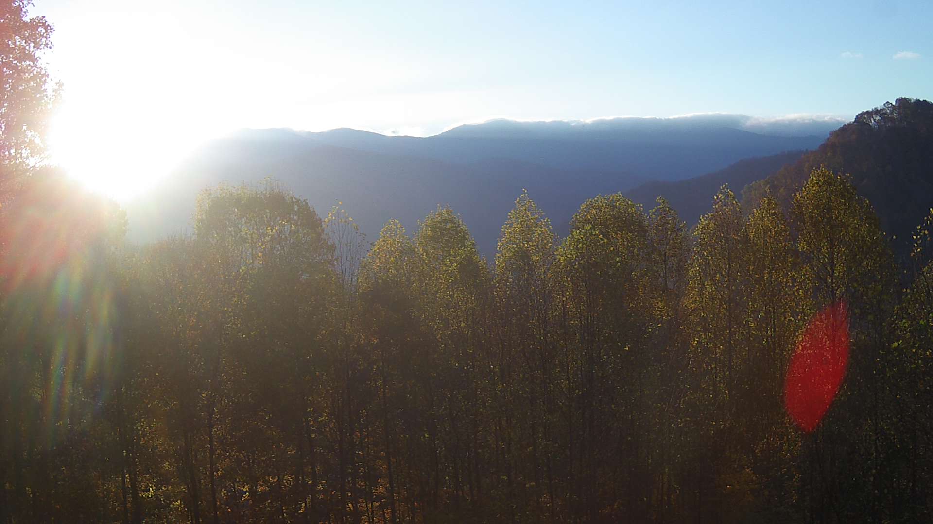 click for next image... slideshow image