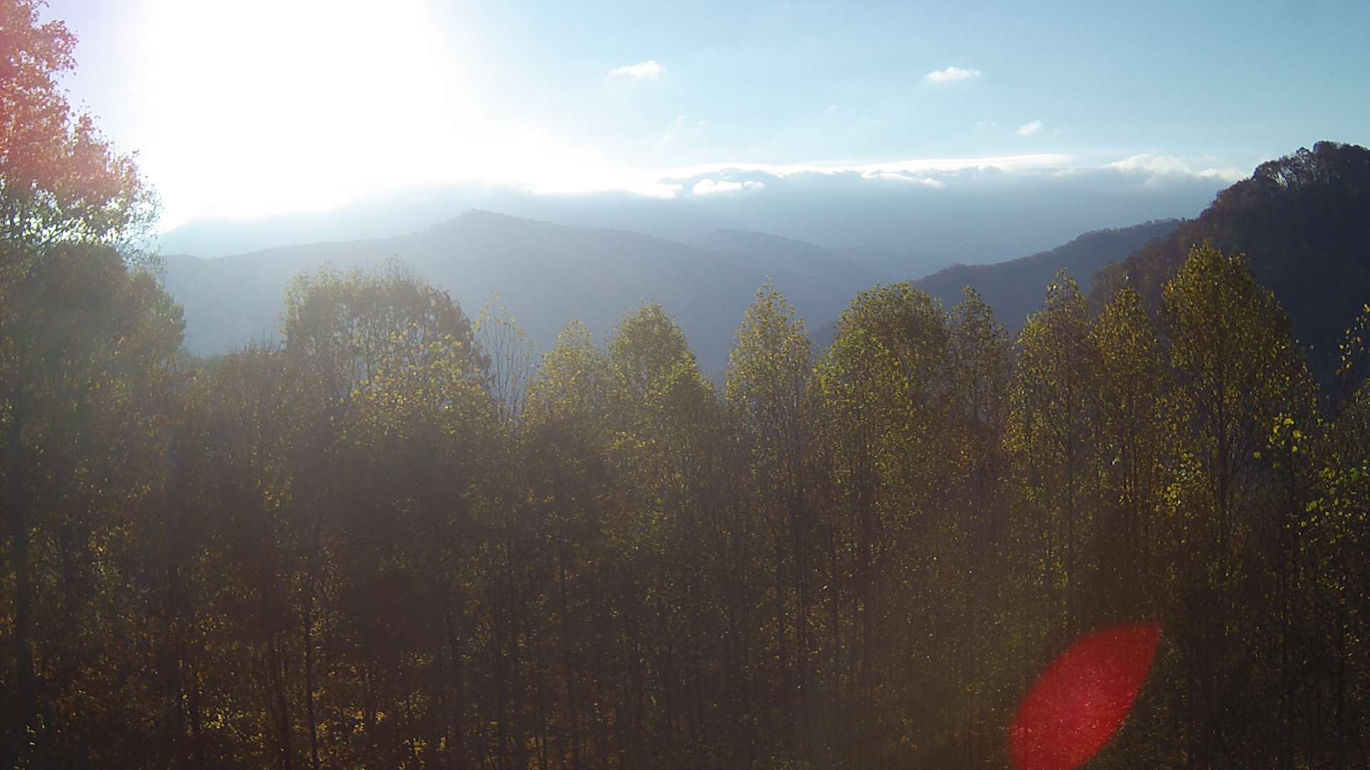 click for next image... slideshow image