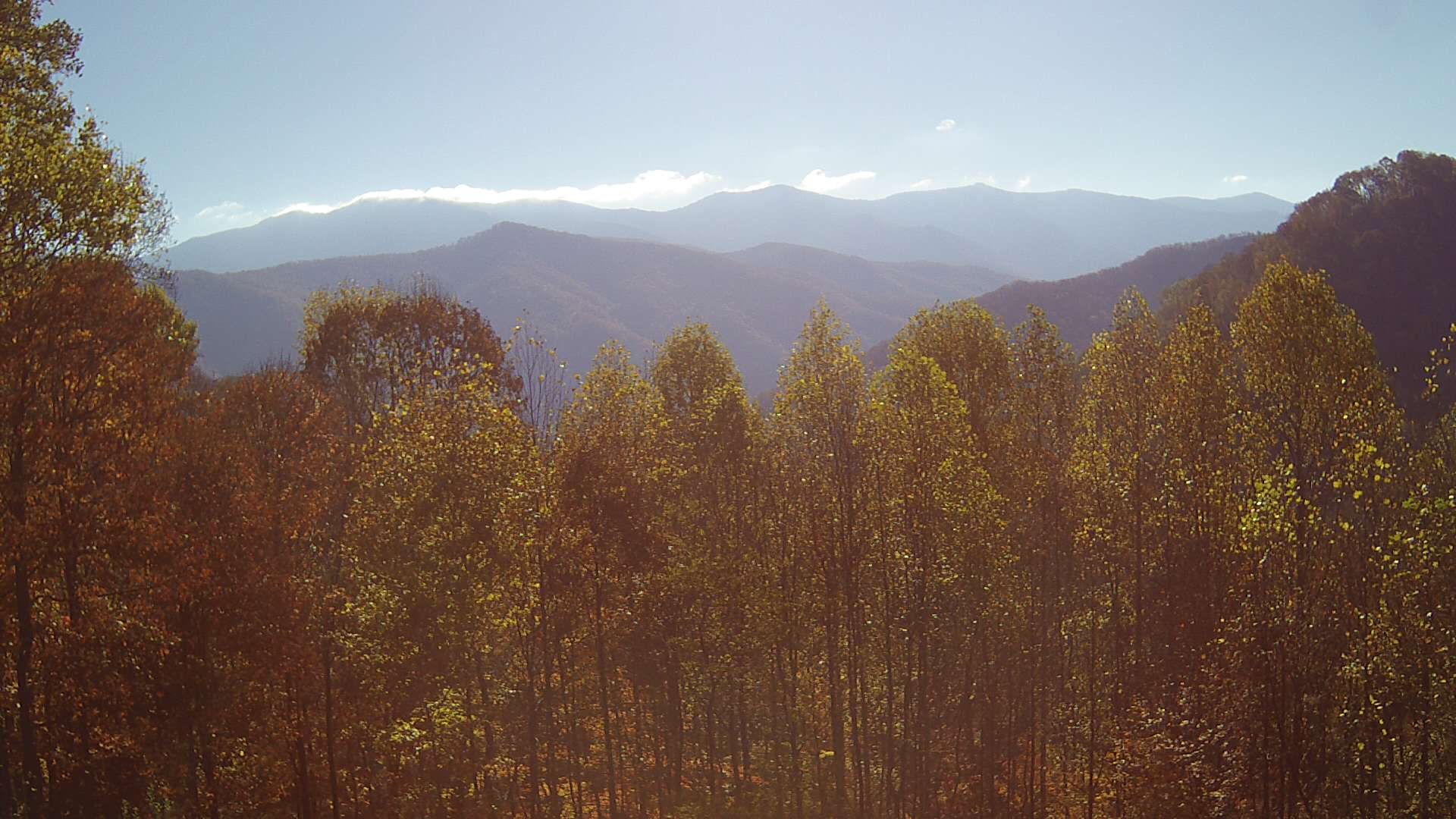 click for next image... slideshow image