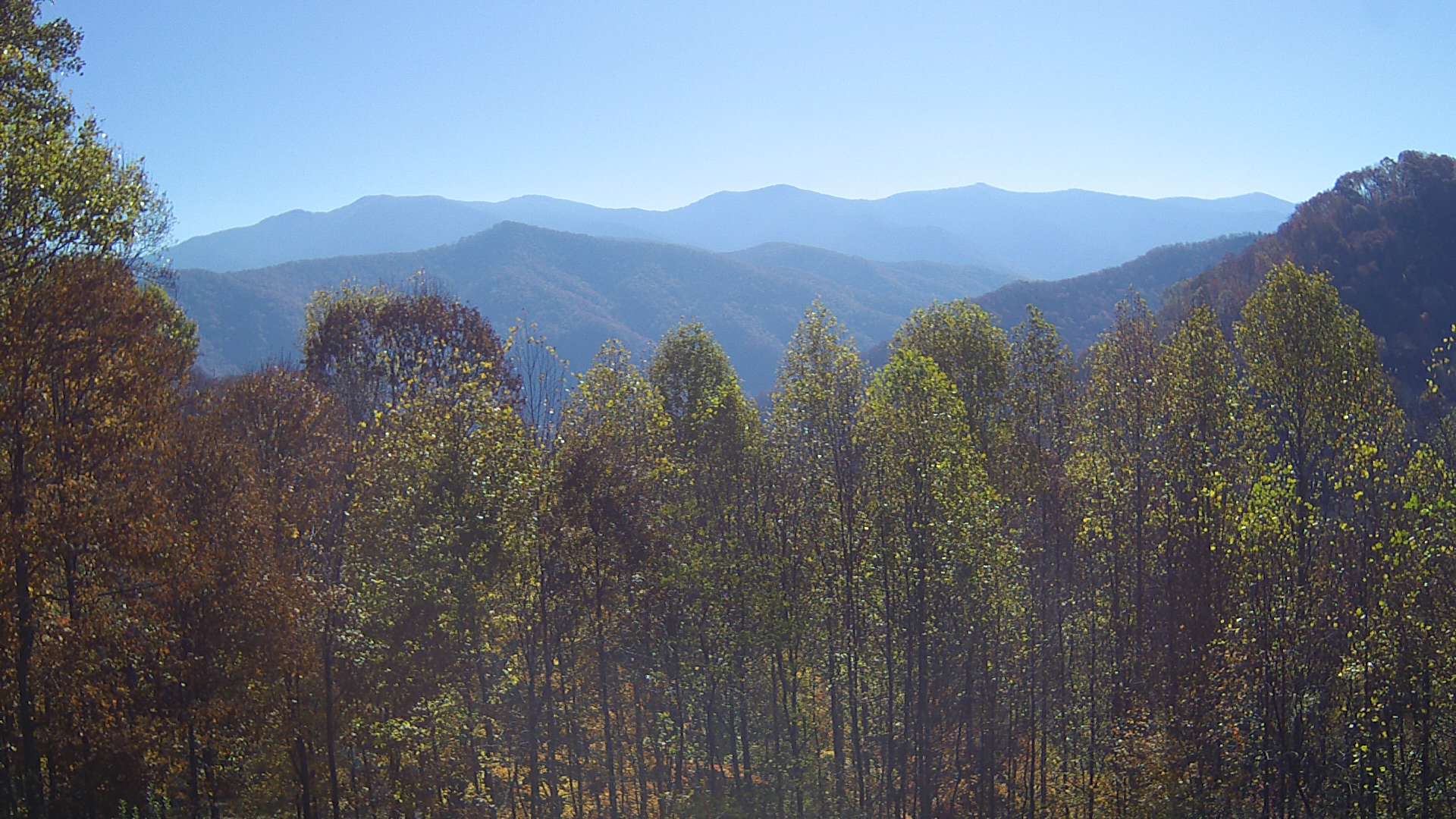 click for next image... slideshow image