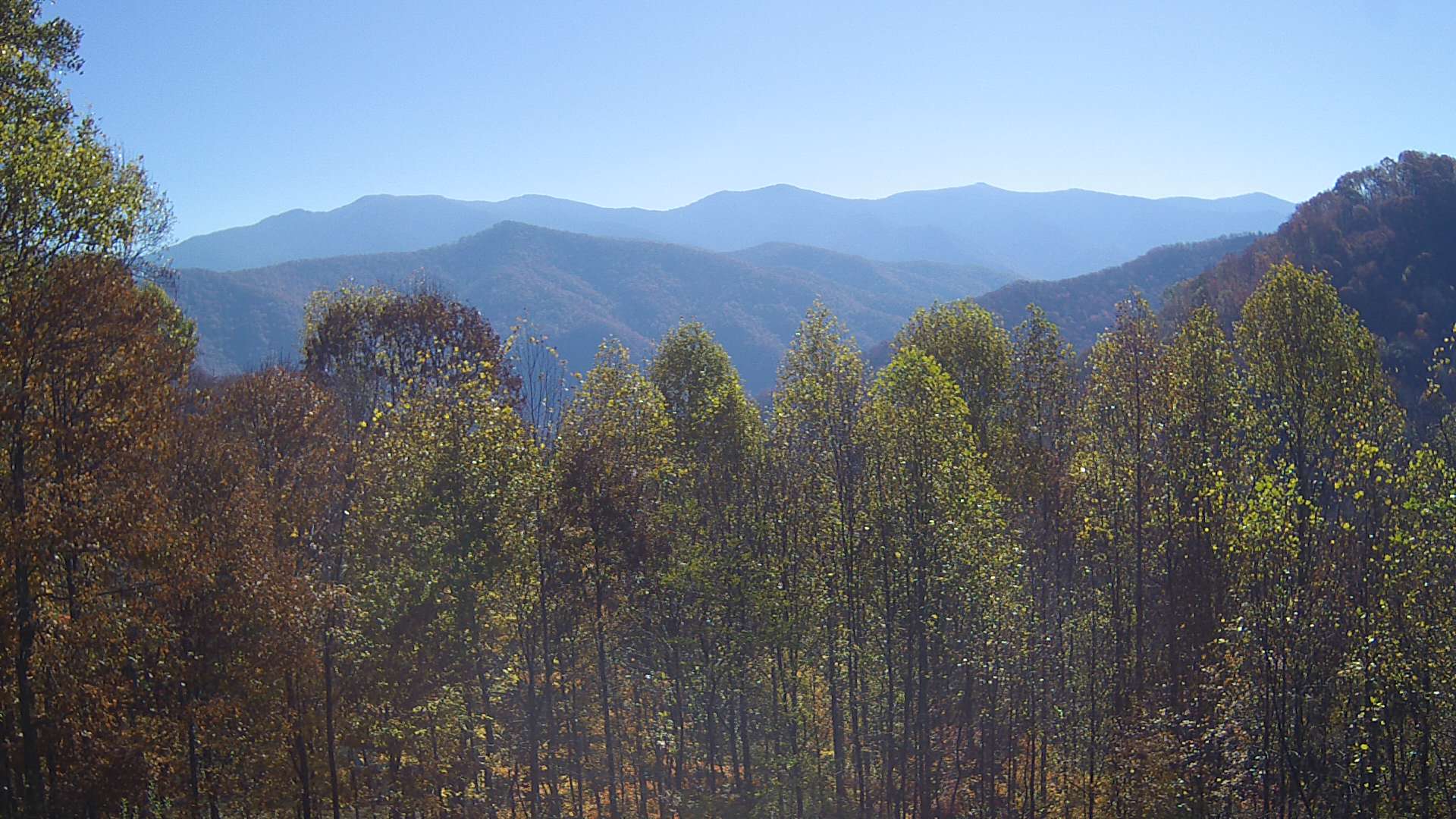 click for next image... slideshow image