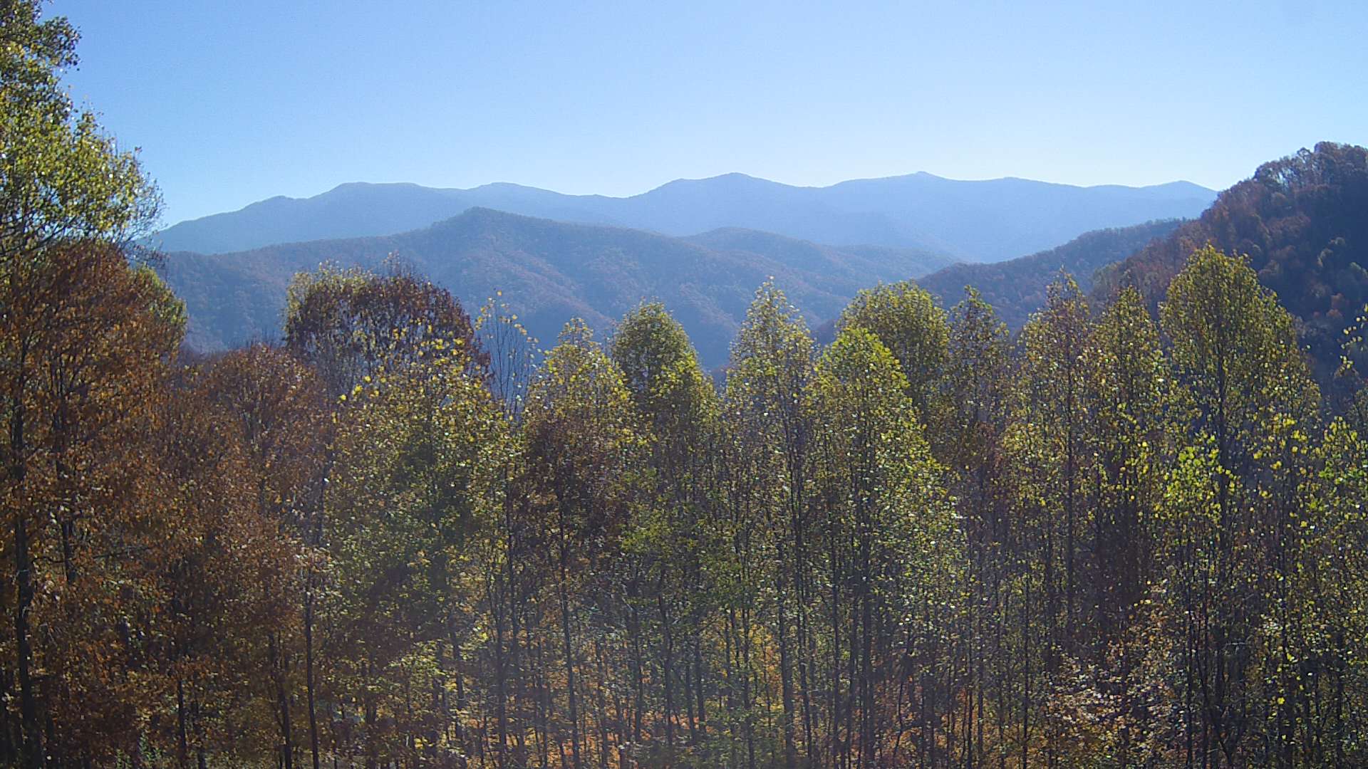 click for next image... slideshow image