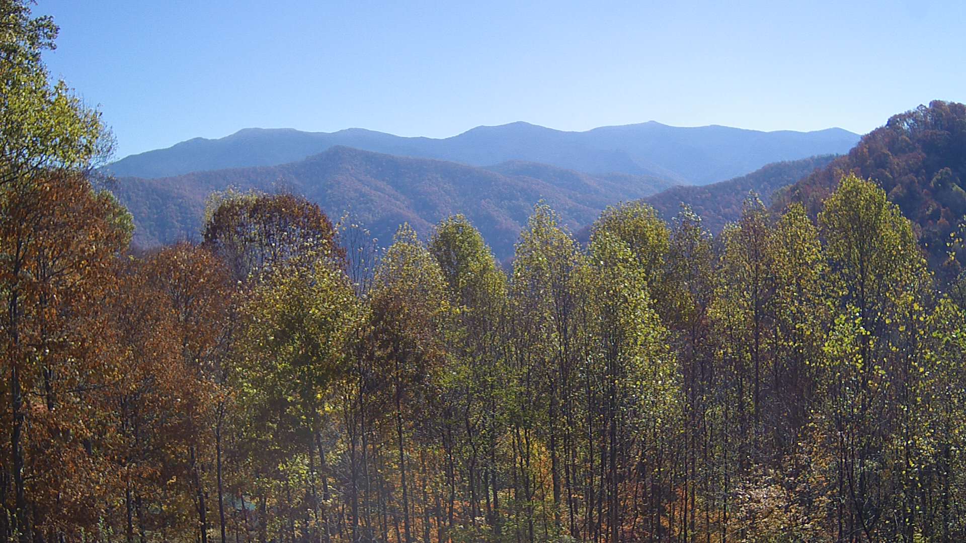 click for next image... slideshow image