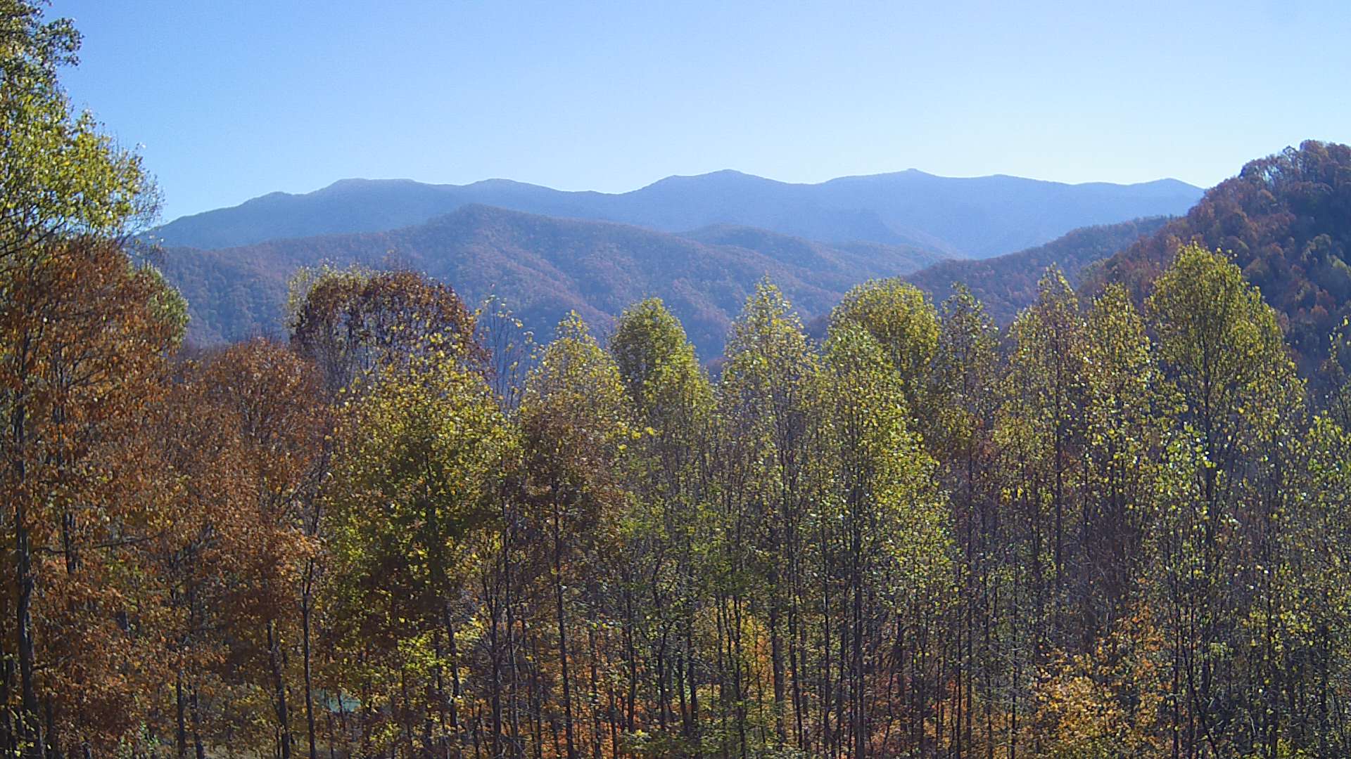 click for next image... slideshow image