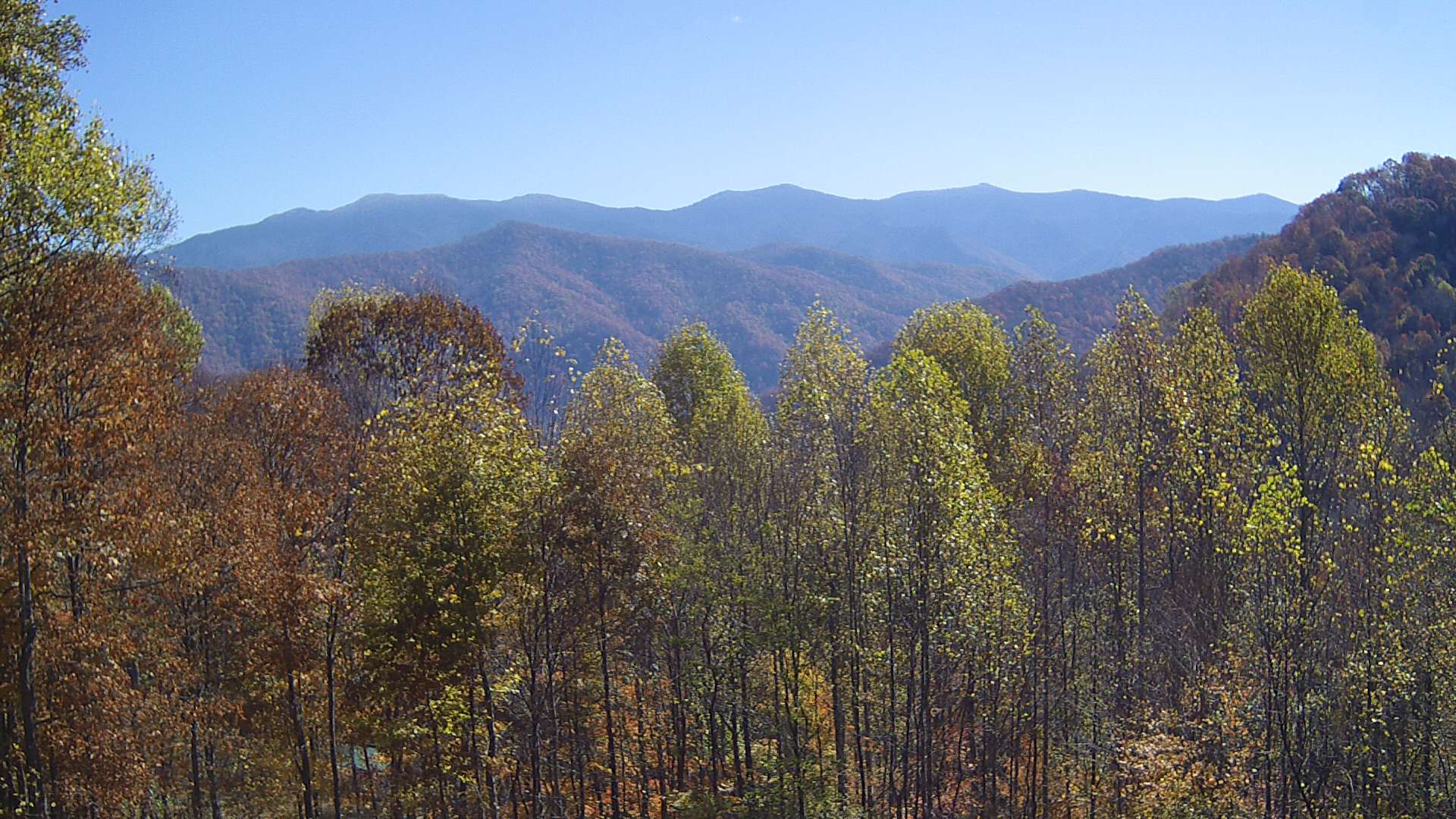 click for next image... slideshow image