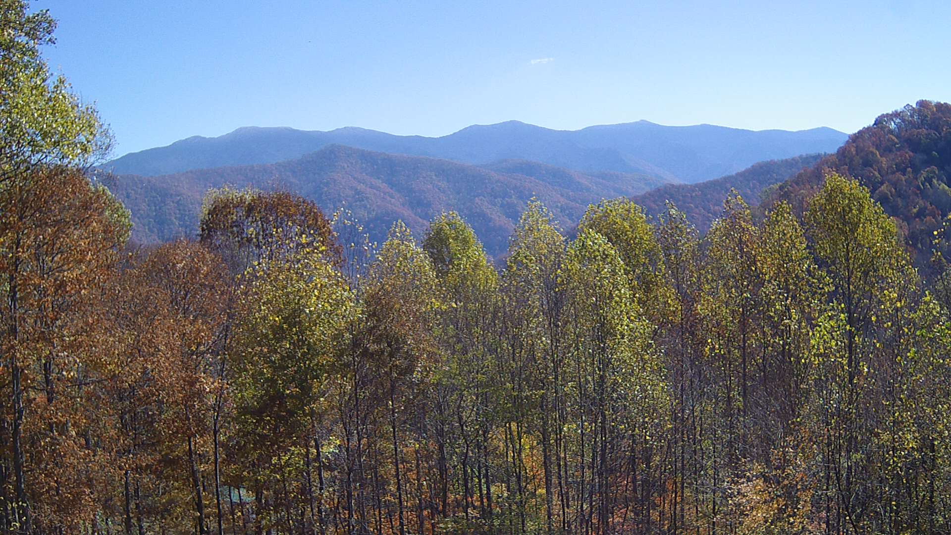 click for next image... slideshow image