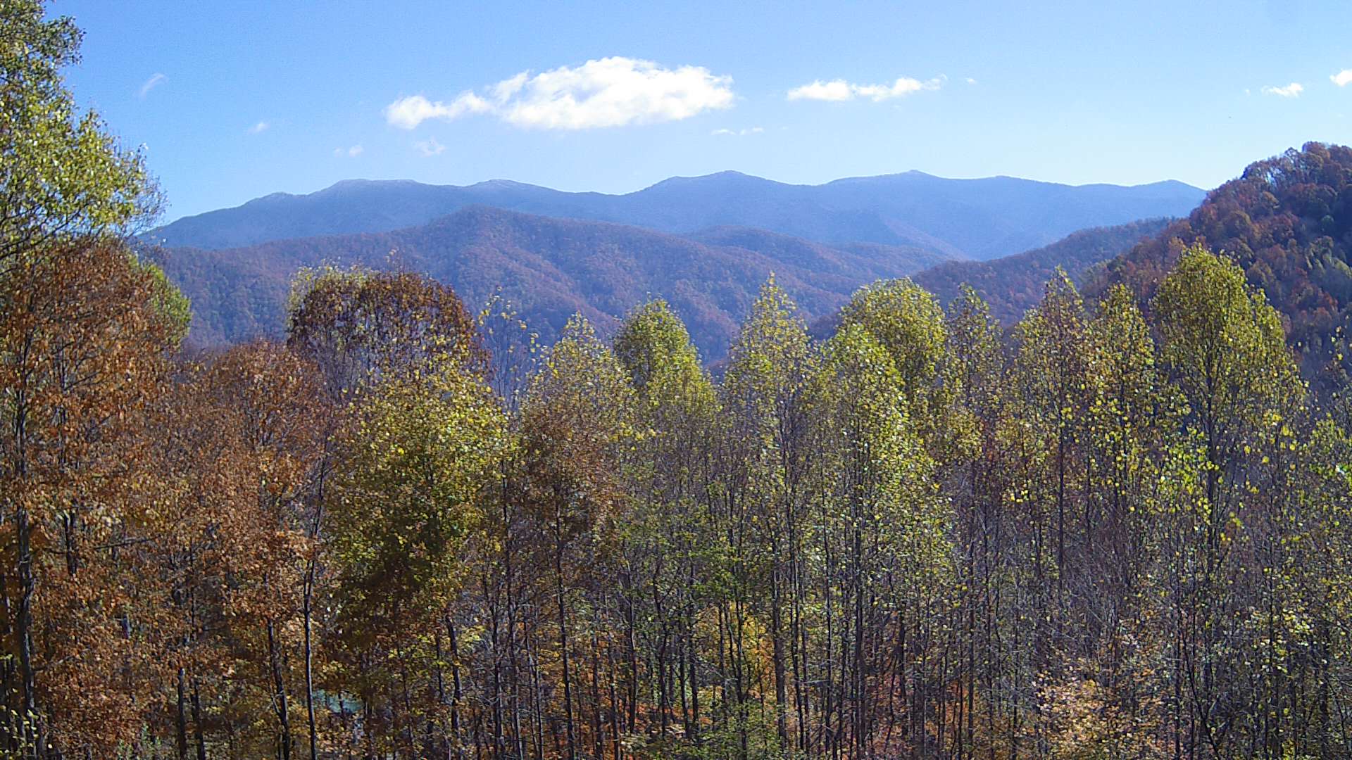 click for next image... slideshow image