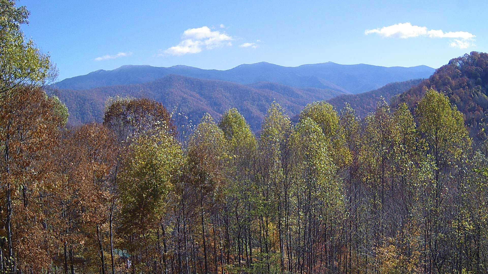 click for next image... slideshow image