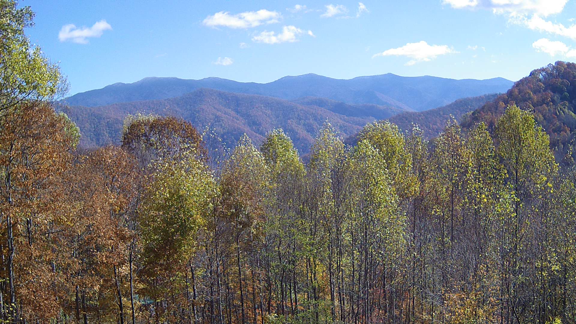 click for next image... slideshow image