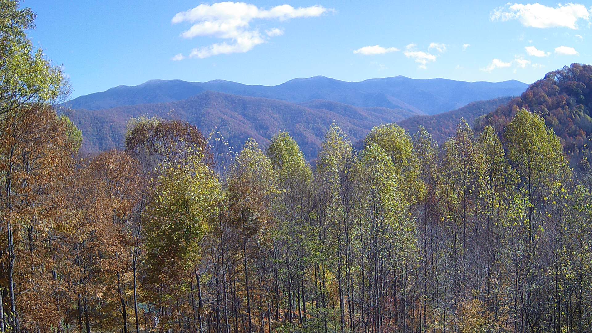 click for next image... slideshow image