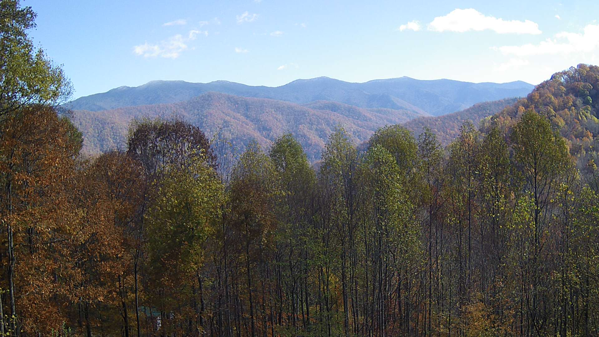 click for next image... slideshow image