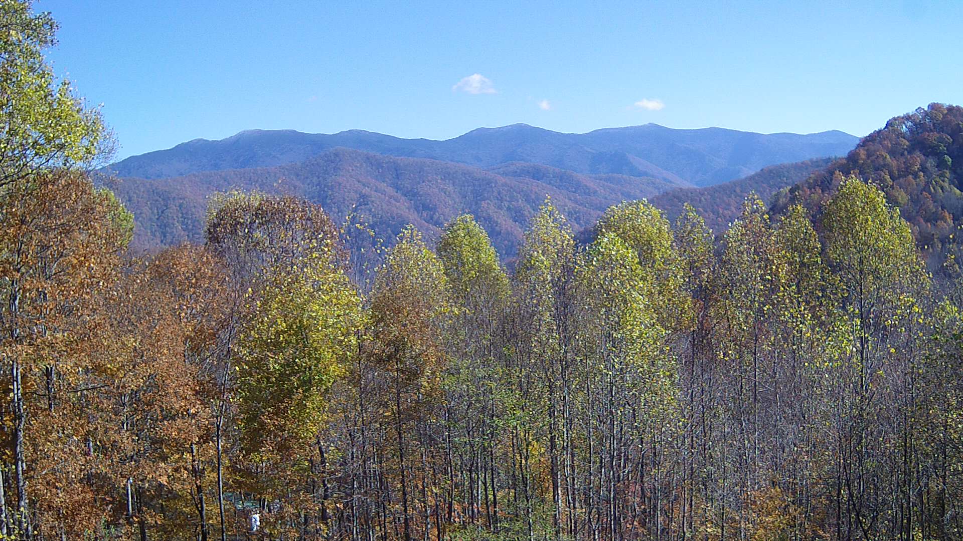 click for next image... slideshow image