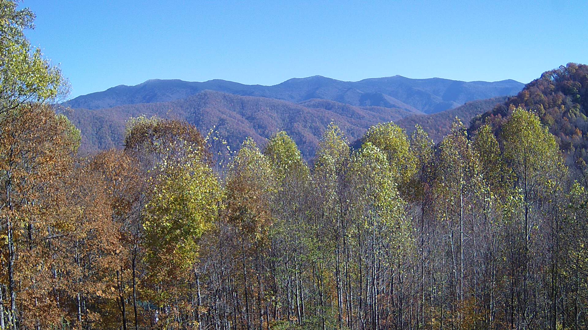 click for next image... slideshow image