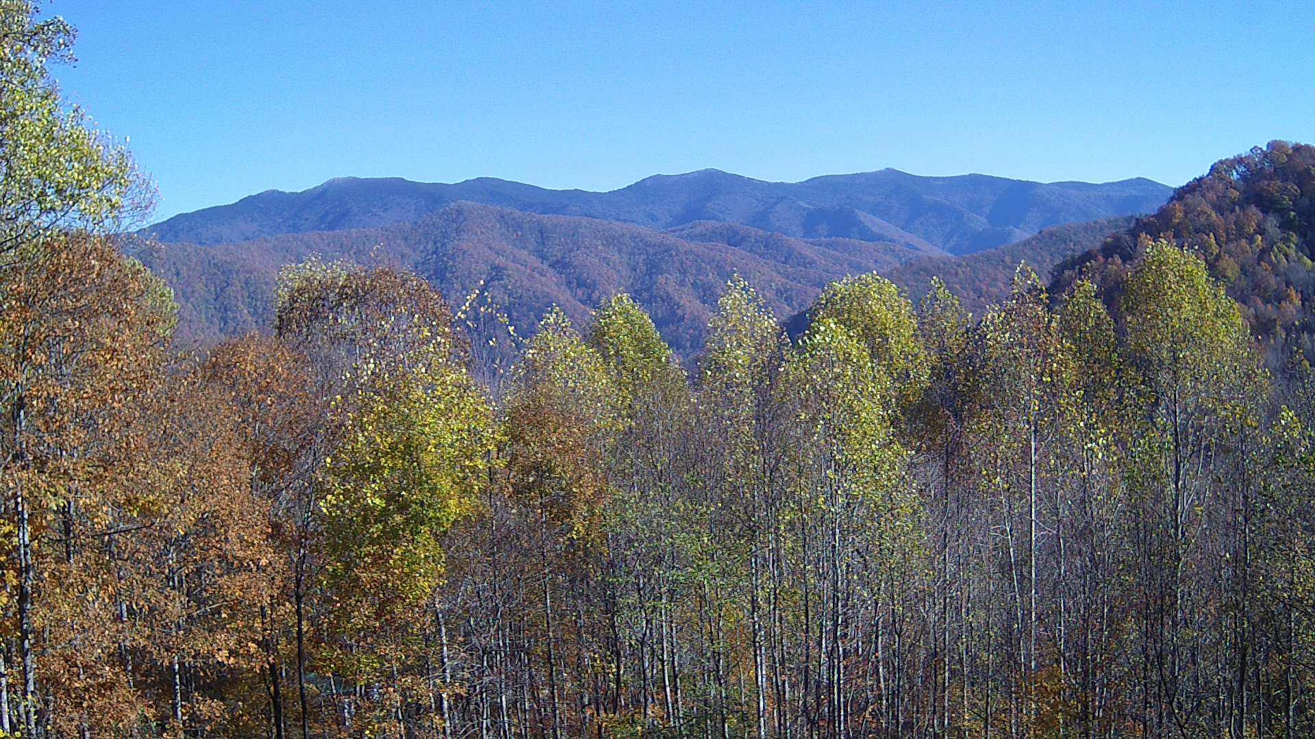 click for next image... slideshow image