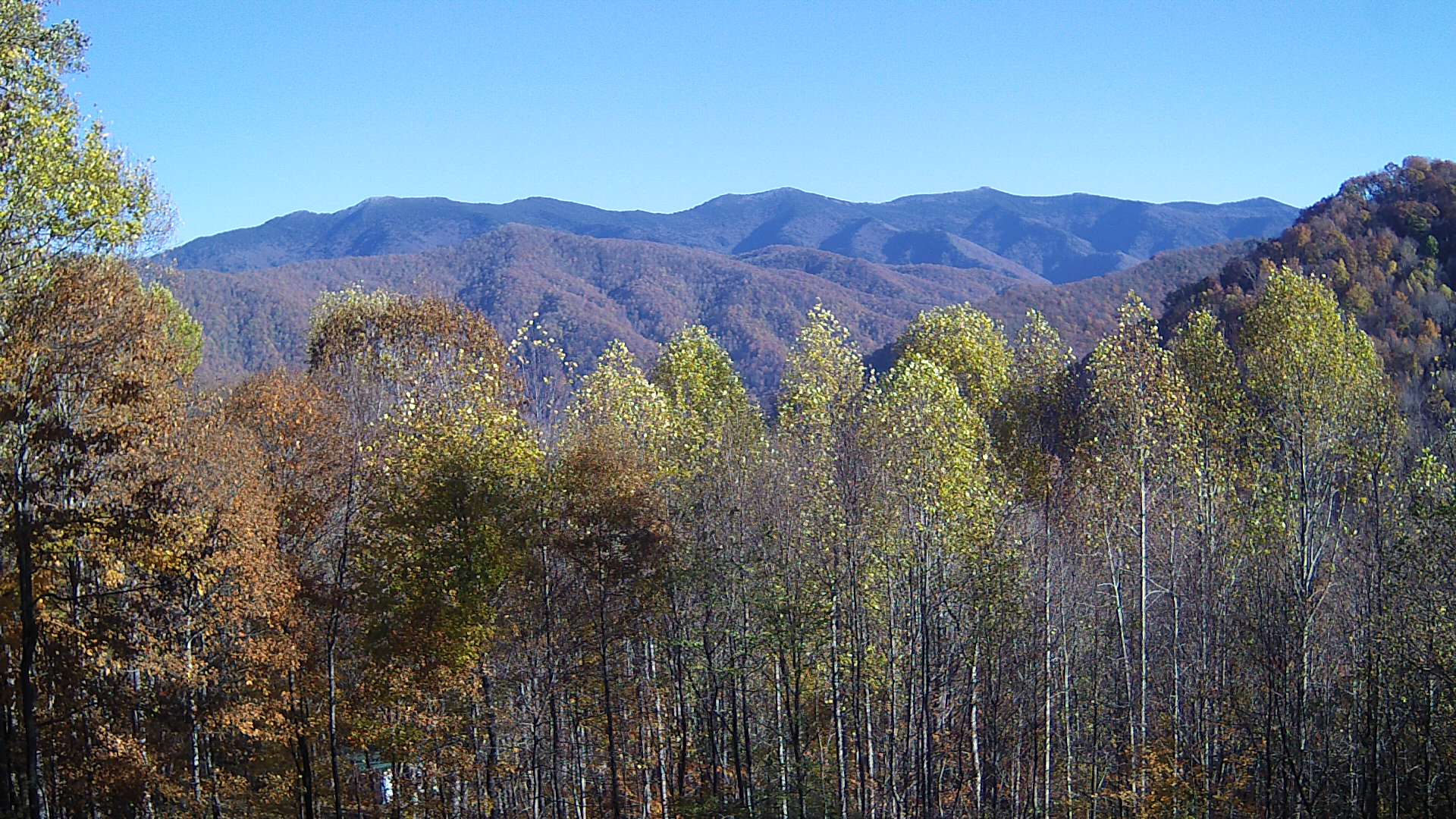 click for next image... slideshow image