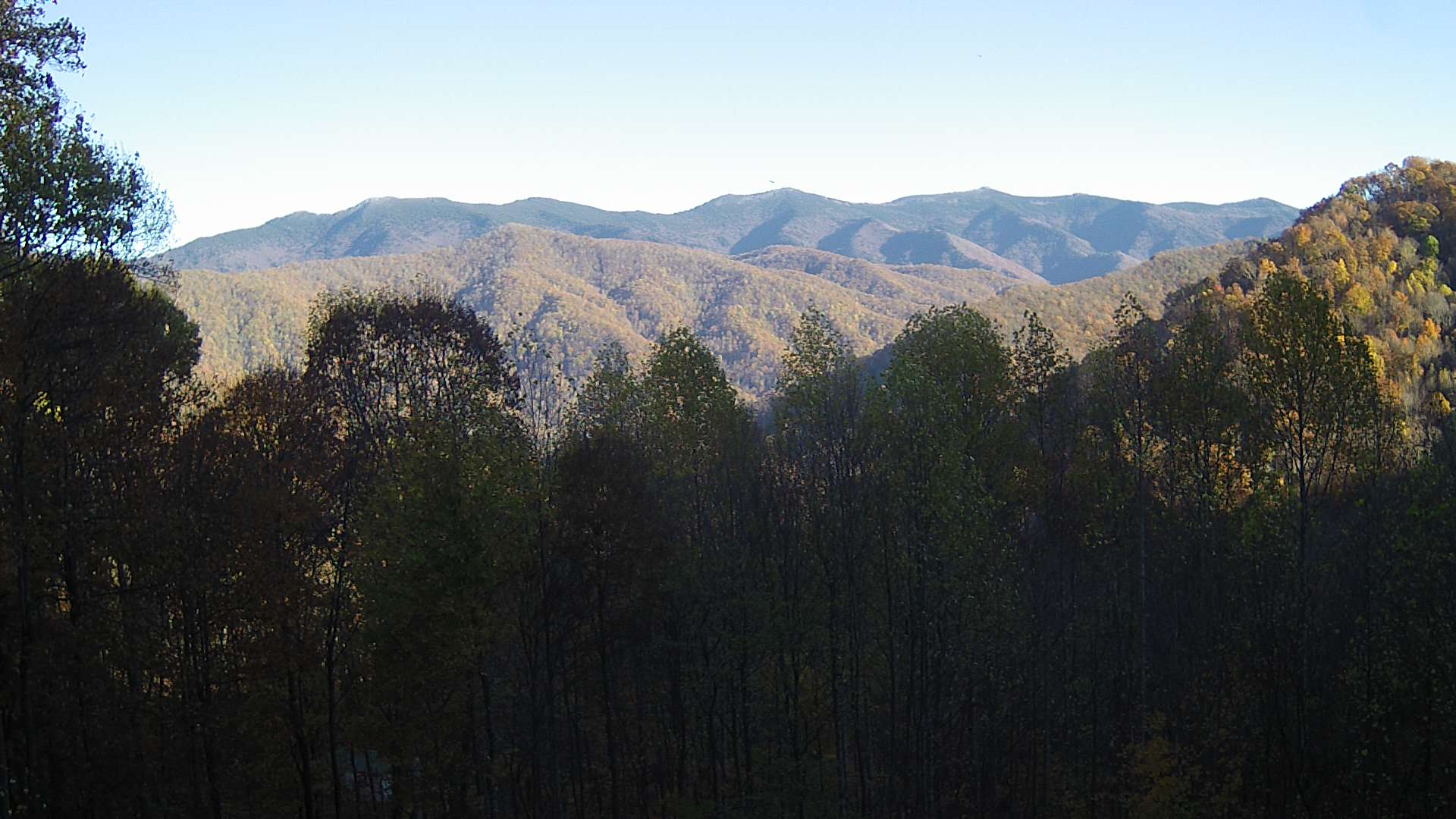 click for next image... slideshow image