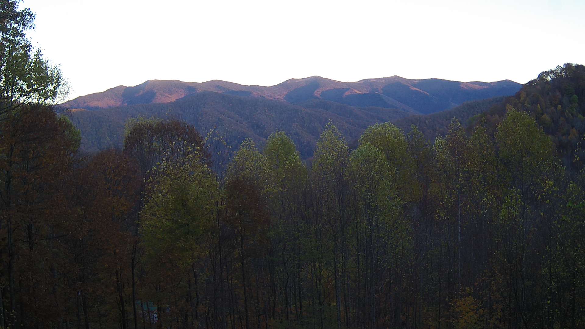 click for next image... slideshow image