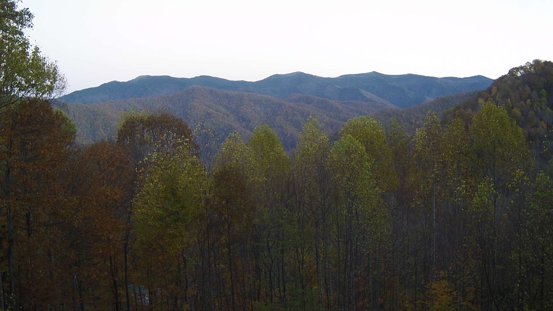 click for next image... slideshow image