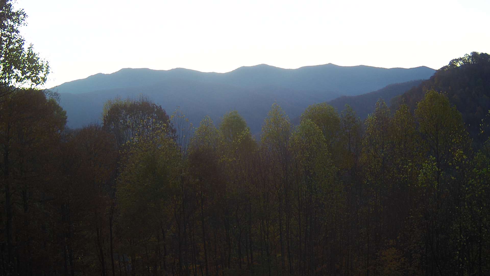 click for next image... slideshow image