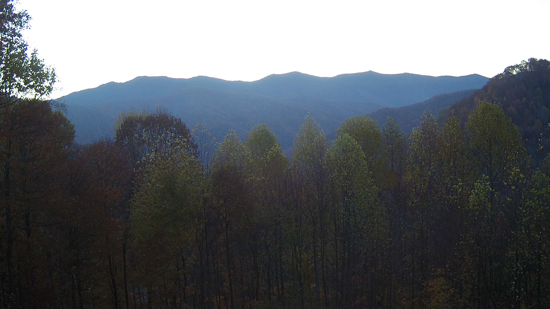 click for next image... slideshow image