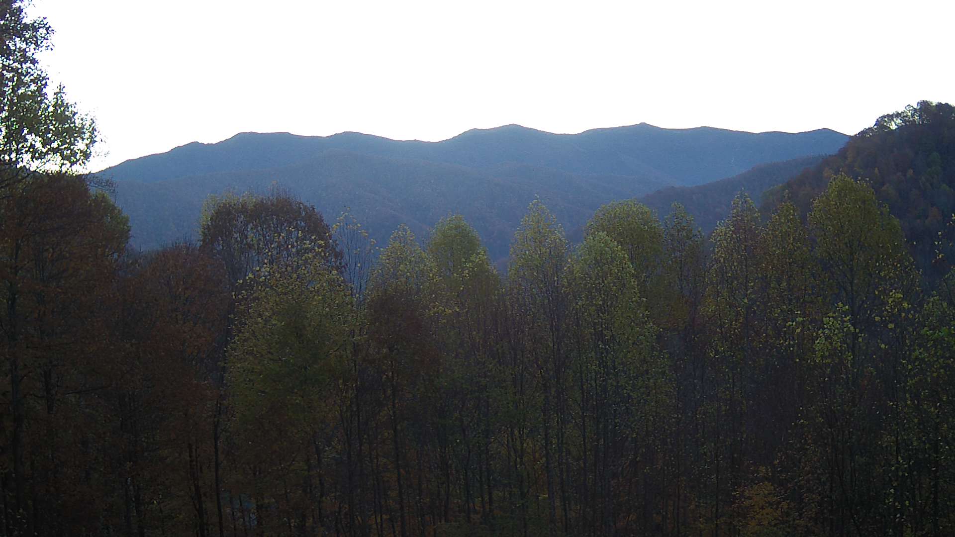 click for next image... slideshow image