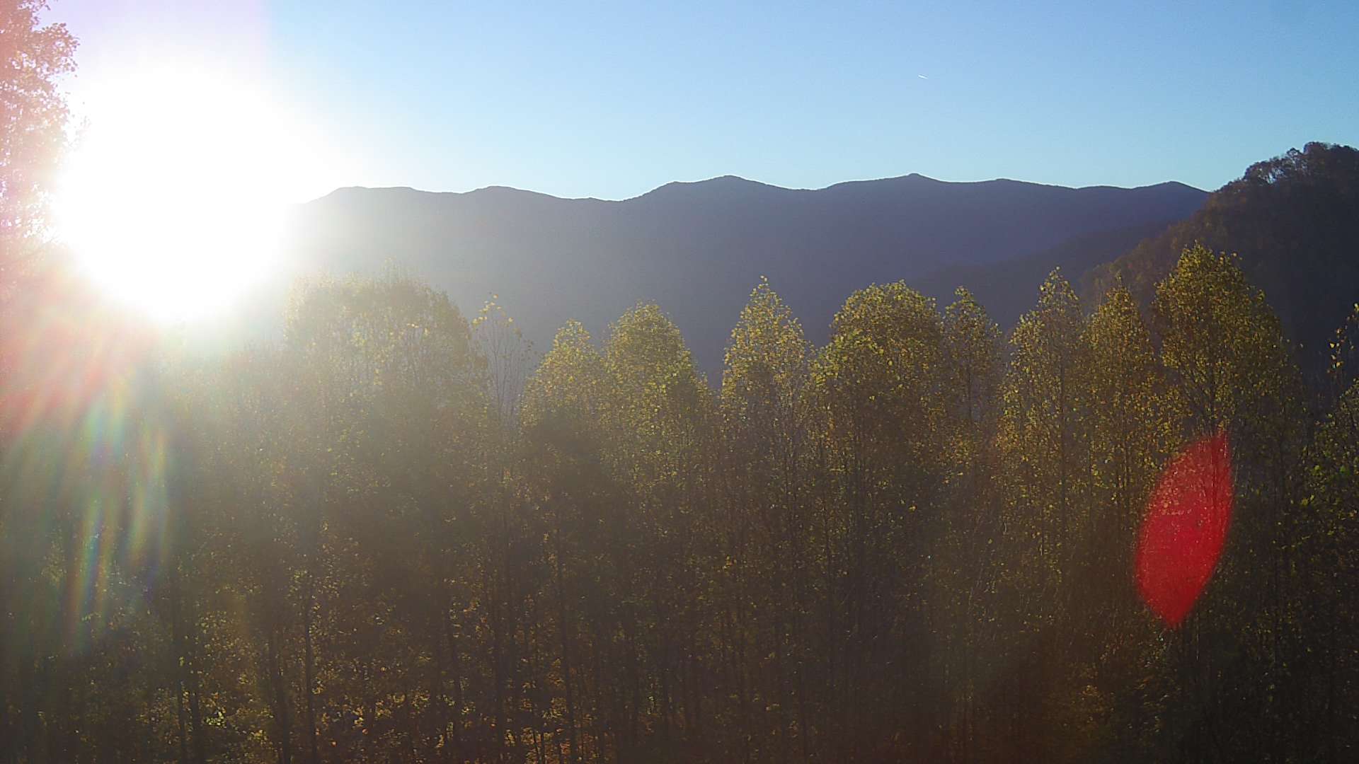 click for next image... slideshow image