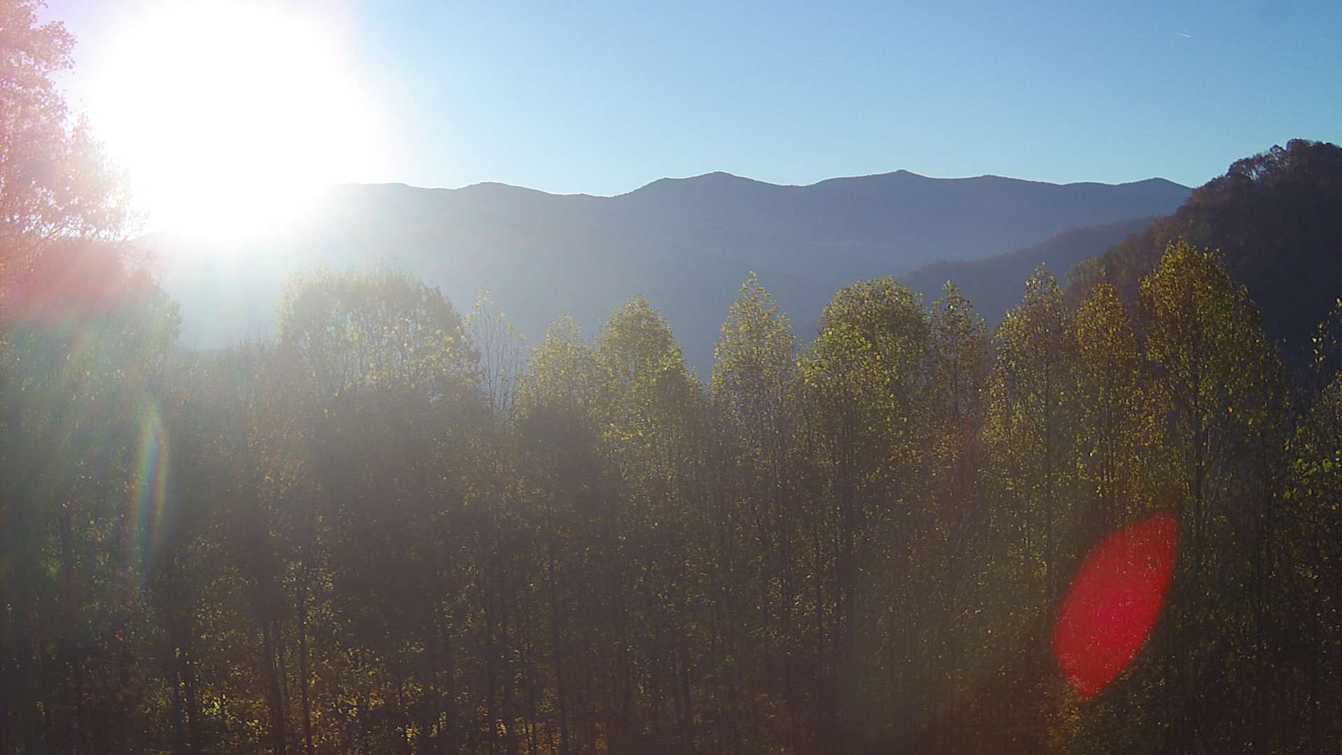 click for next image... slideshow image