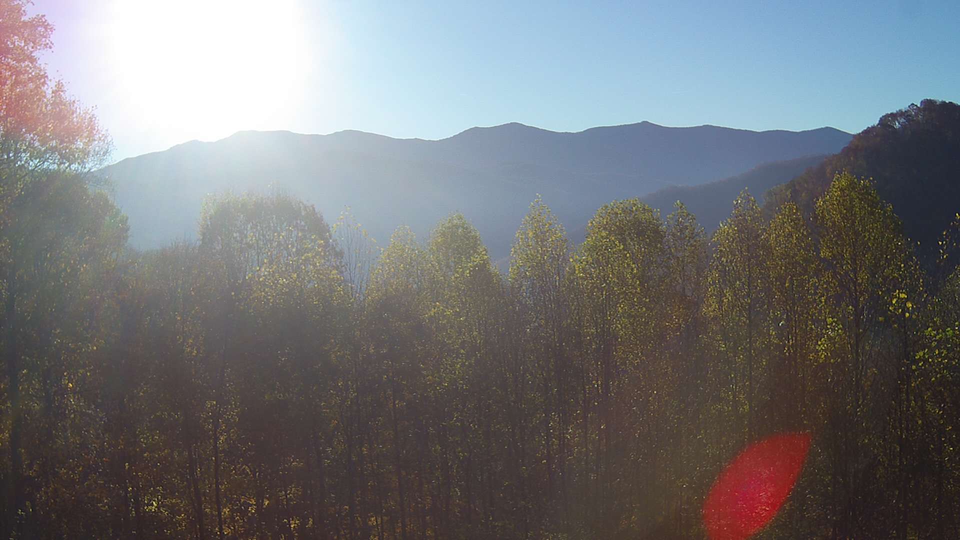 click for next image... slideshow image