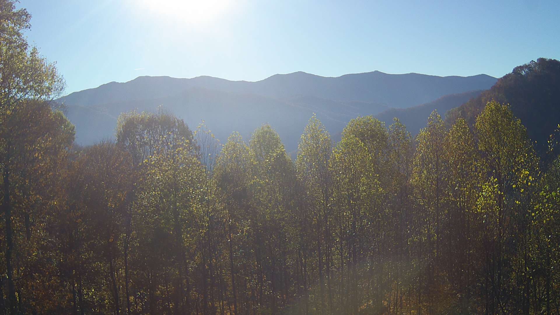 click for next image... slideshow image