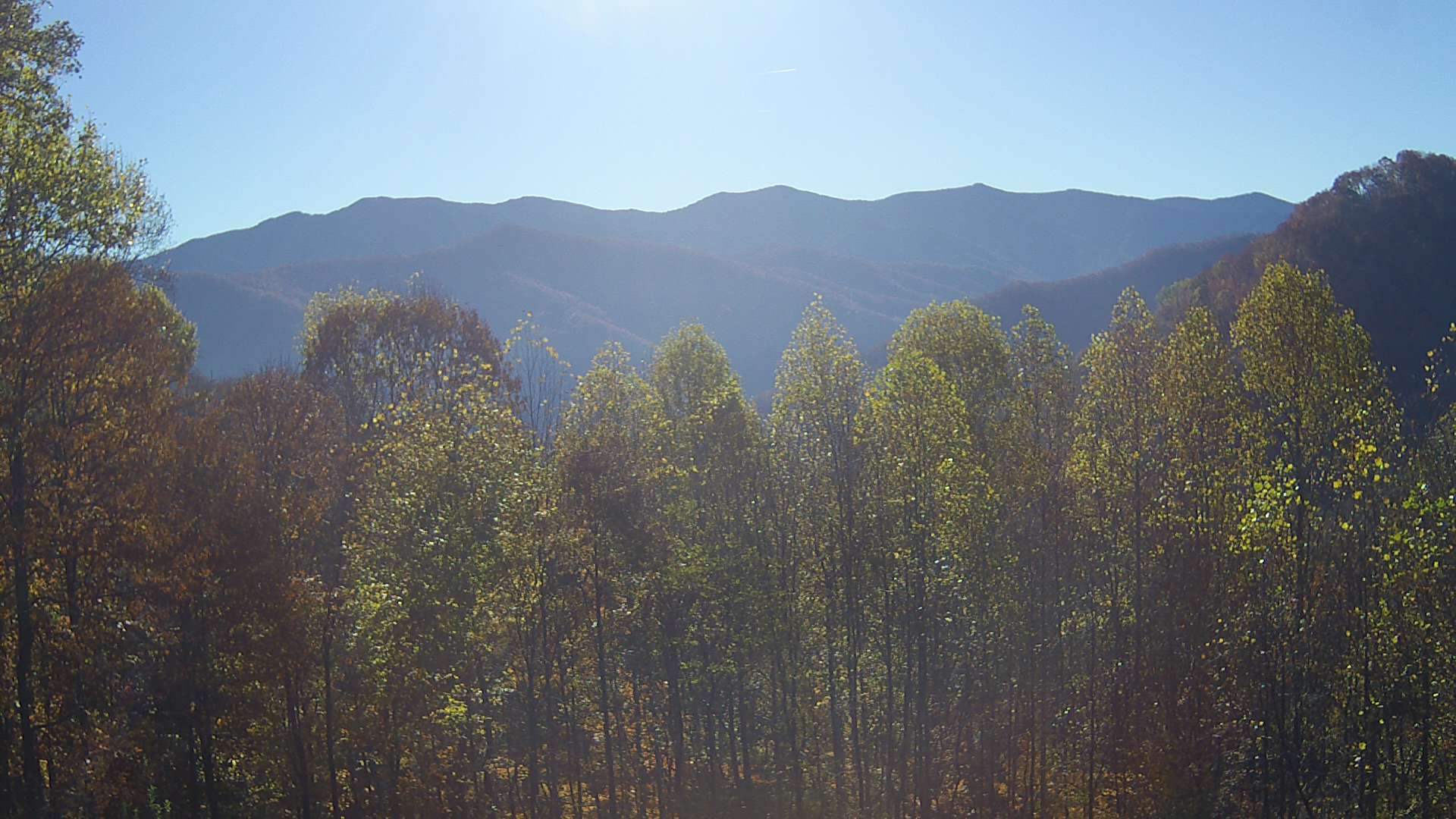 click for next image... slideshow image