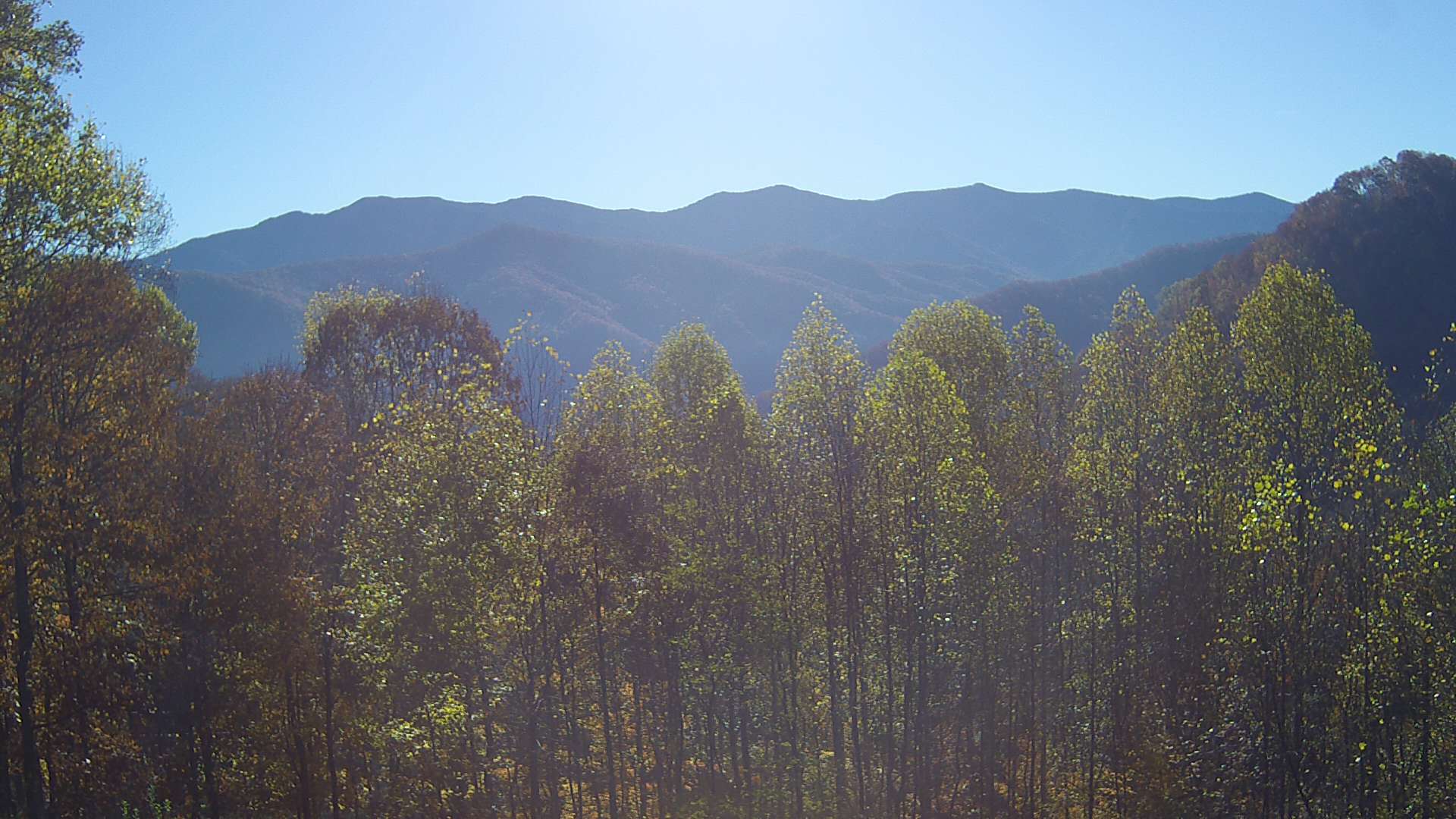 click for next image... slideshow image