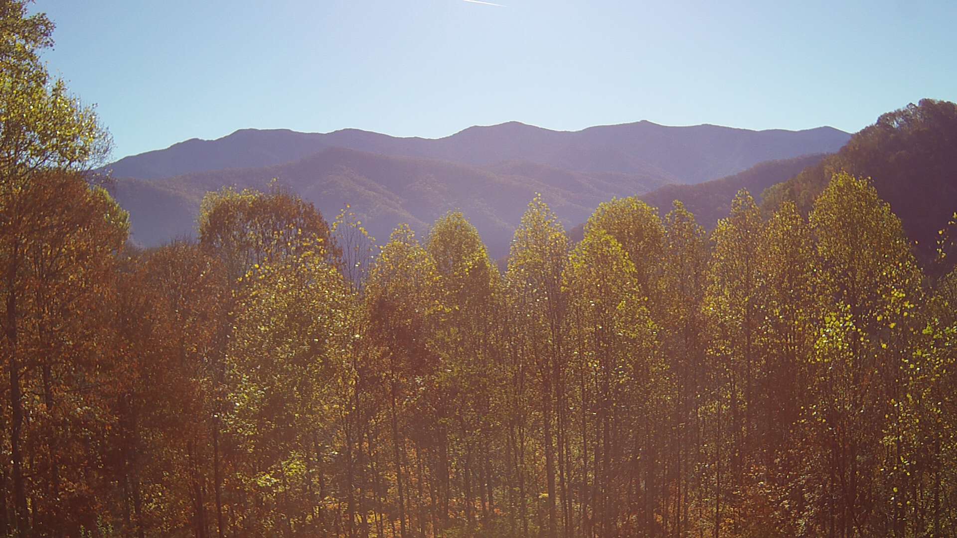 click for next image... slideshow image