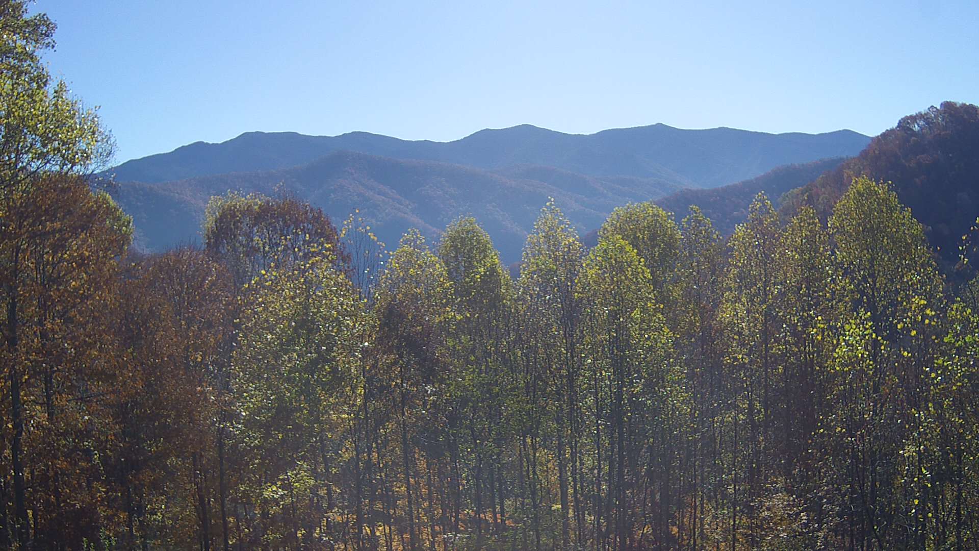 click for next image... slideshow image