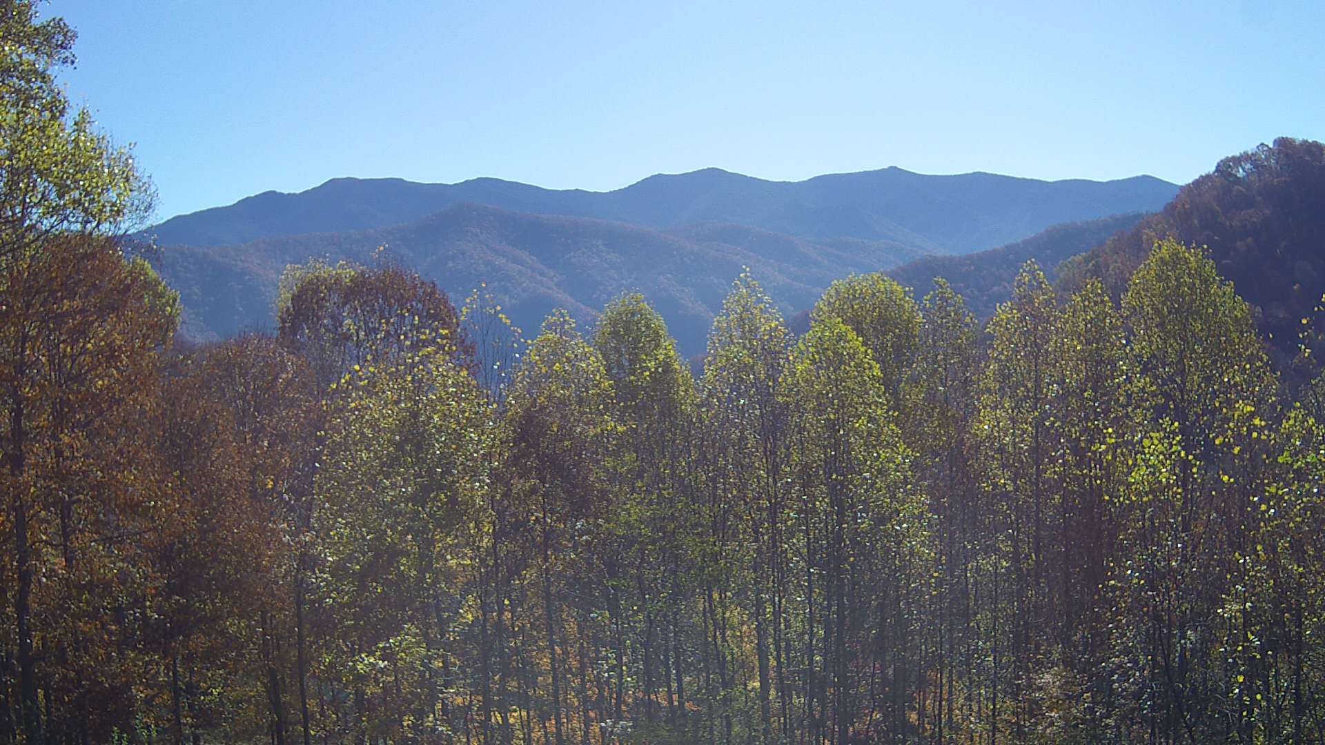 click for next image... slideshow image