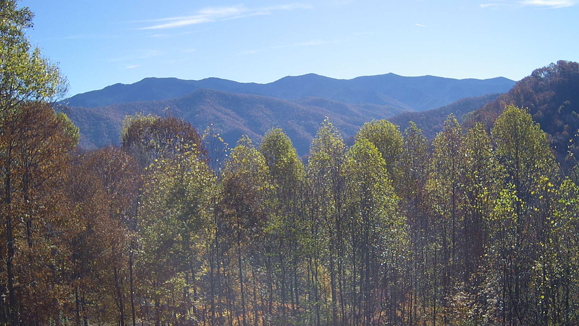 click for next image... slideshow image