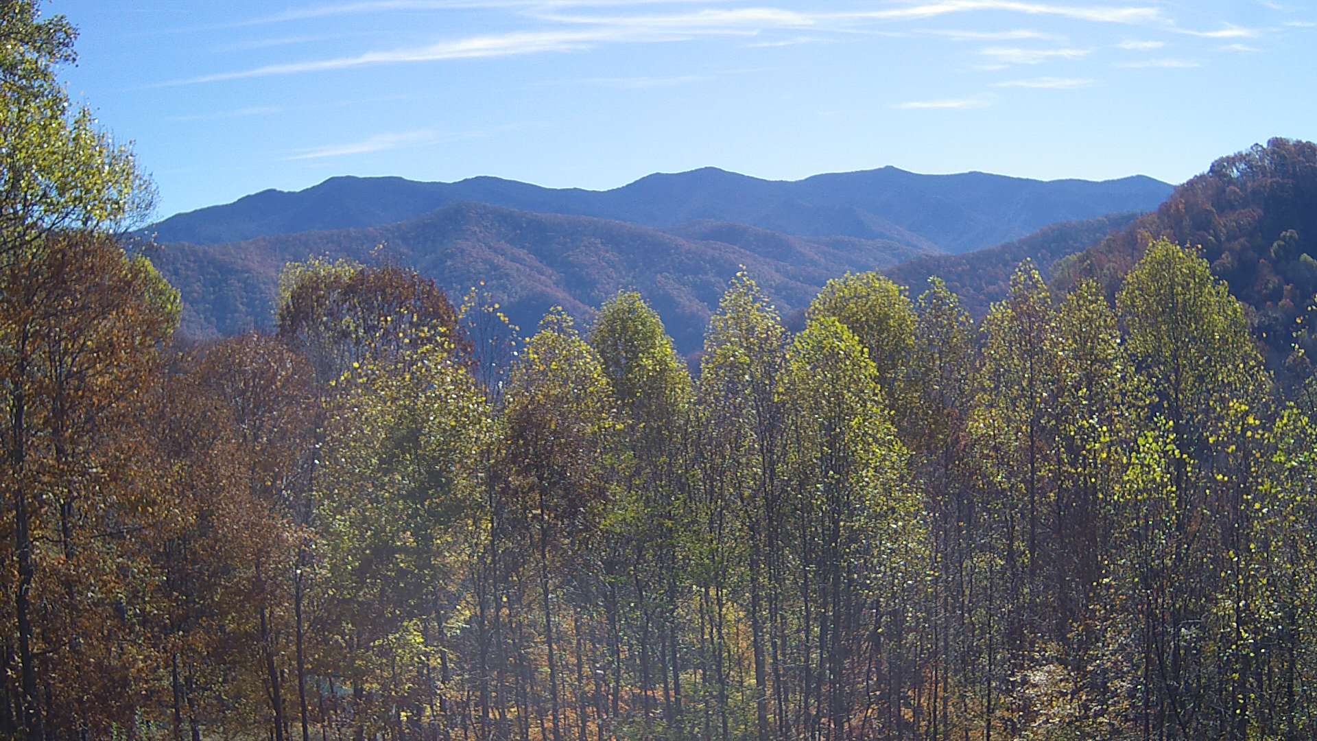 click for next image... slideshow image