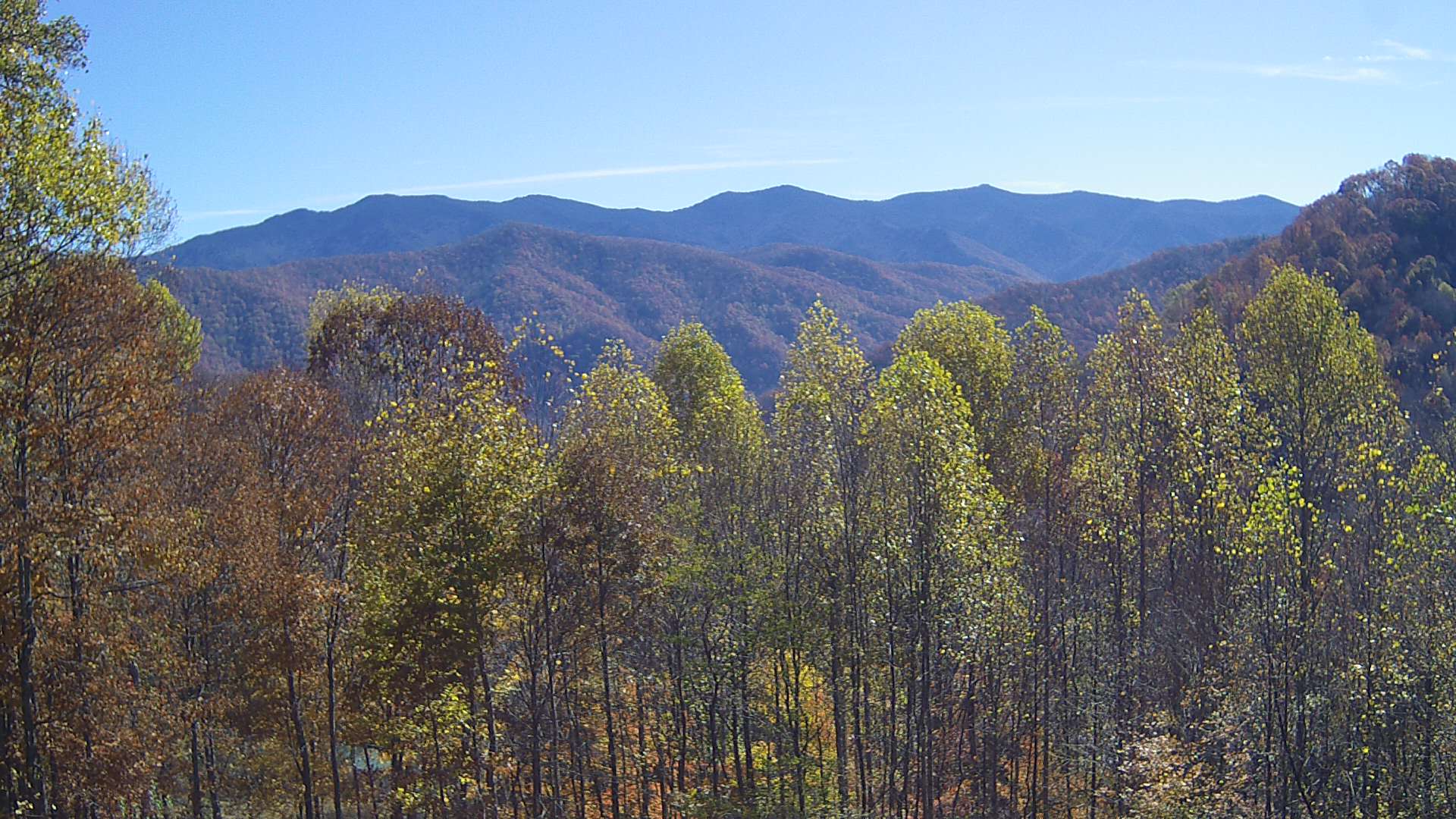 click for next image... slideshow image