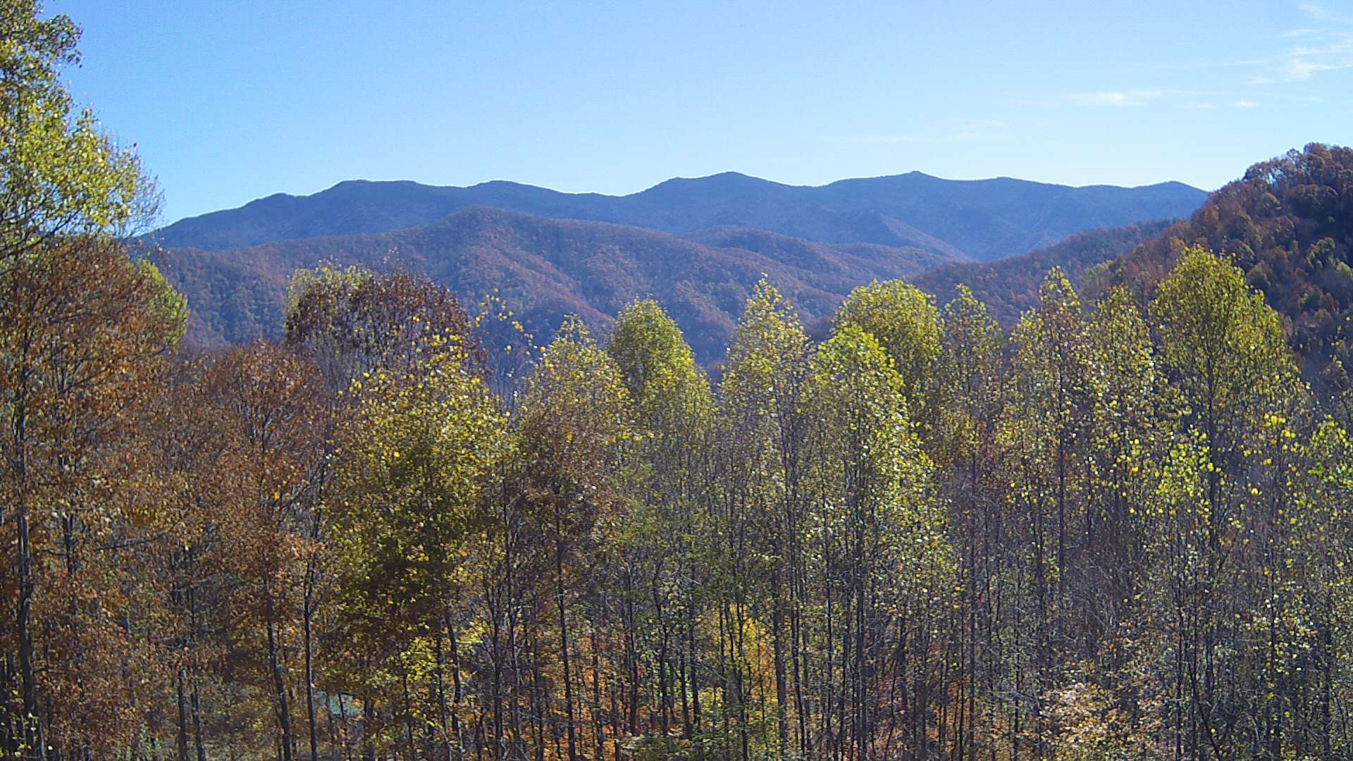 click for next image... slideshow image