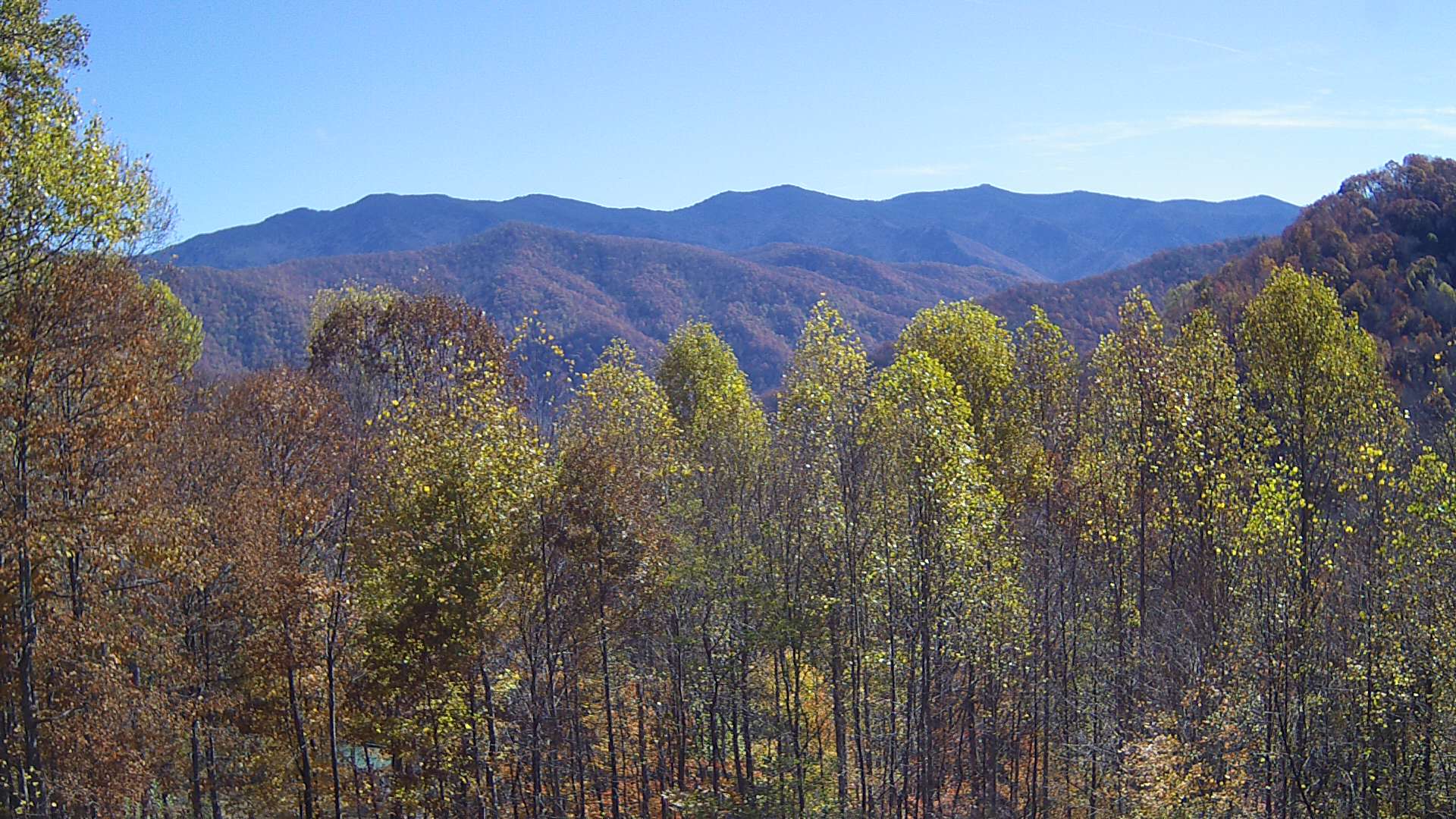 click for next image... slideshow image