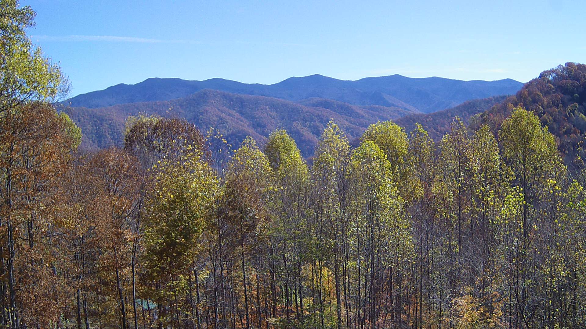 click for next image... slideshow image