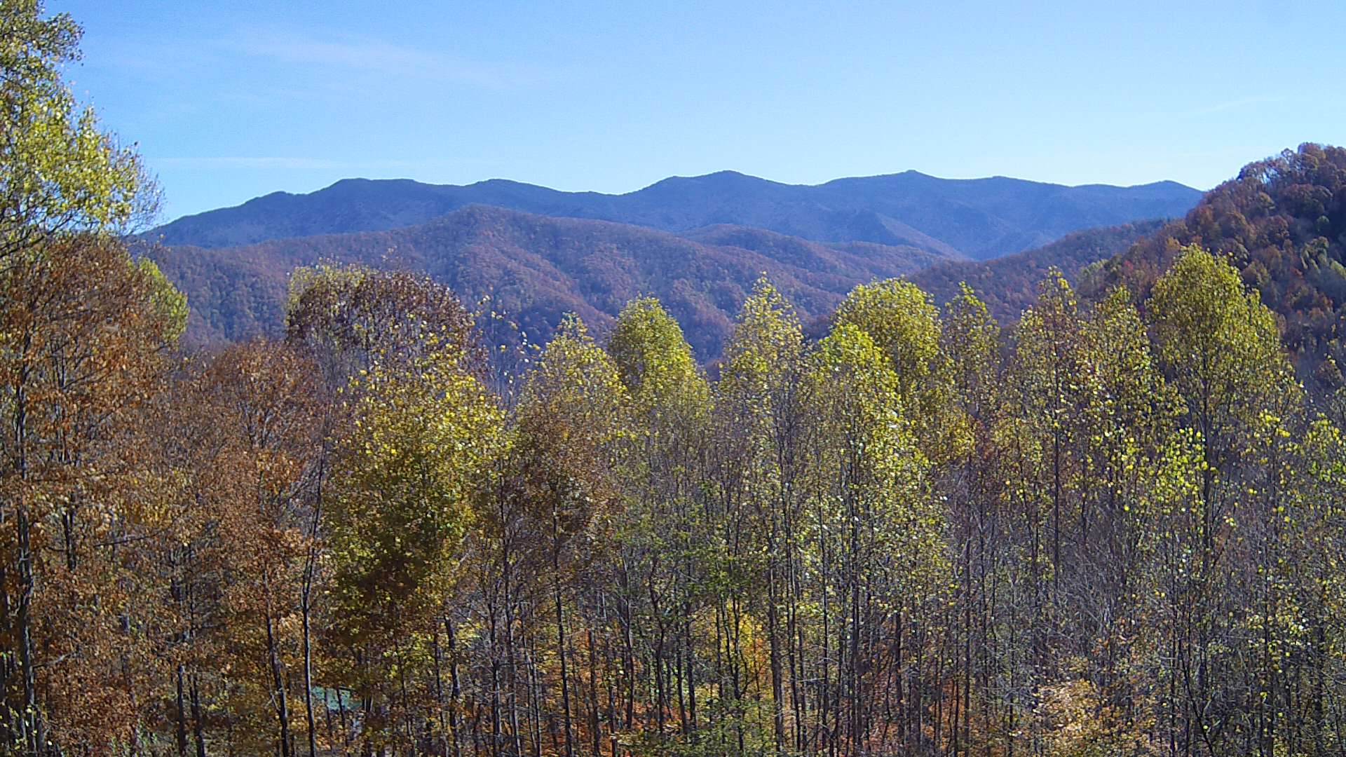 click for next image... slideshow image