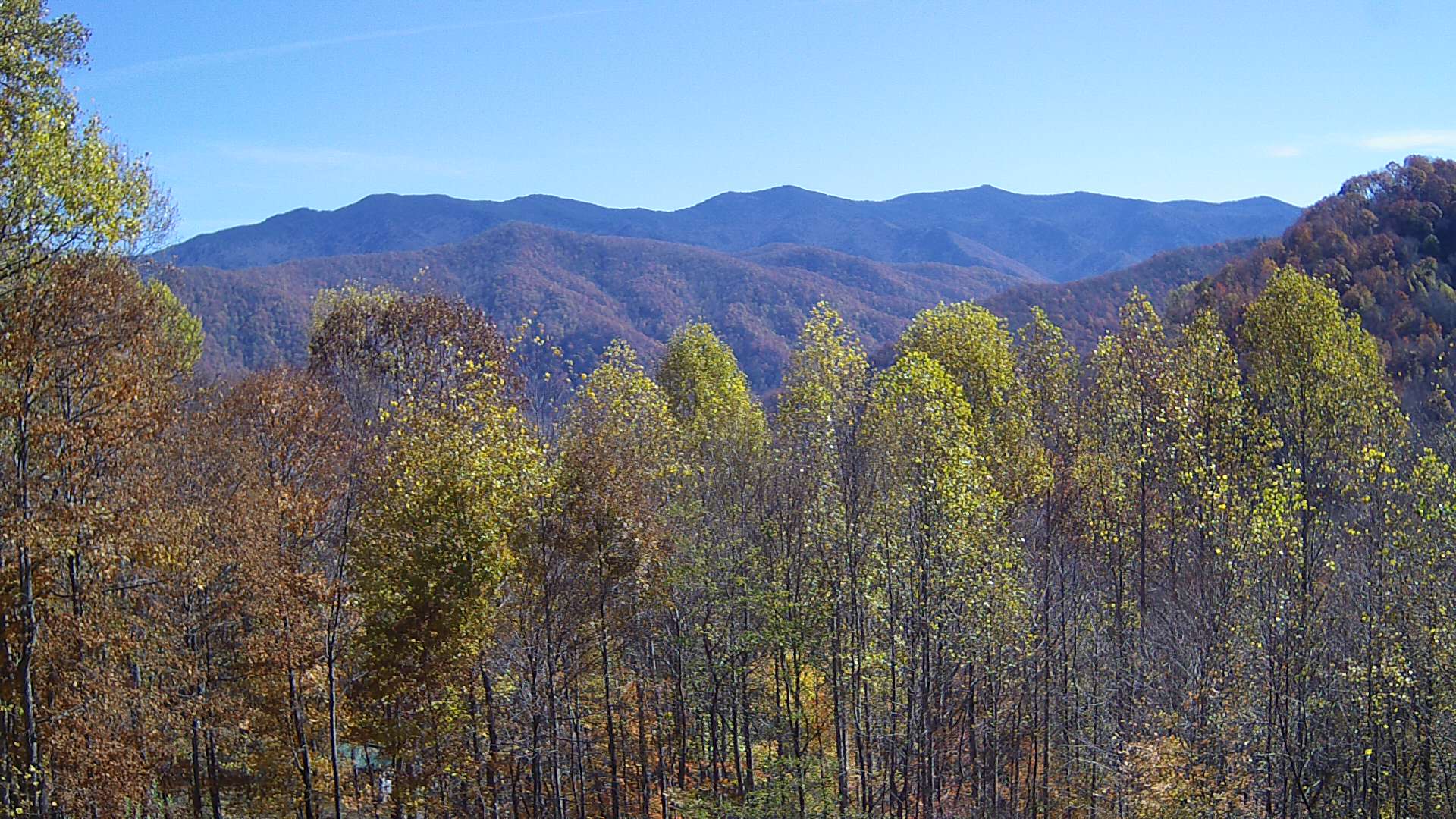 click for next image... slideshow image