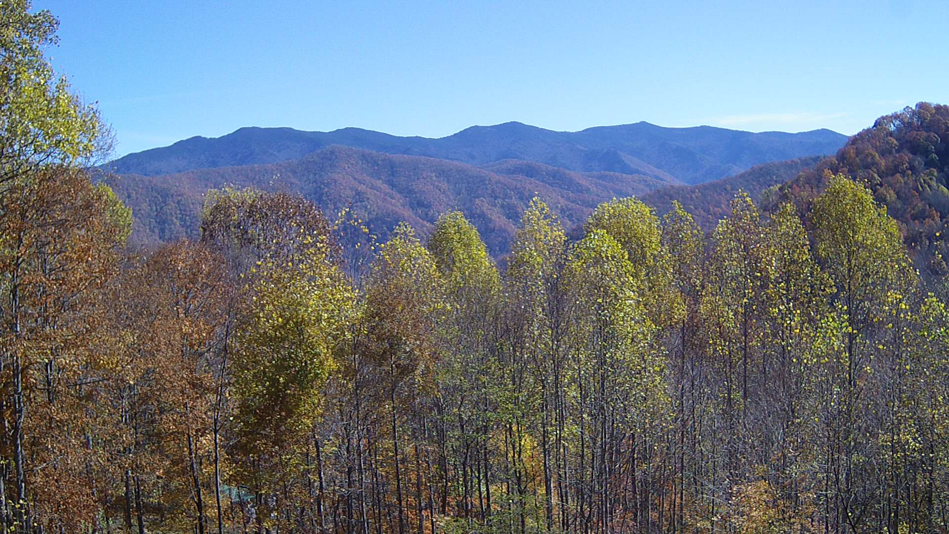 click for next image... slideshow image