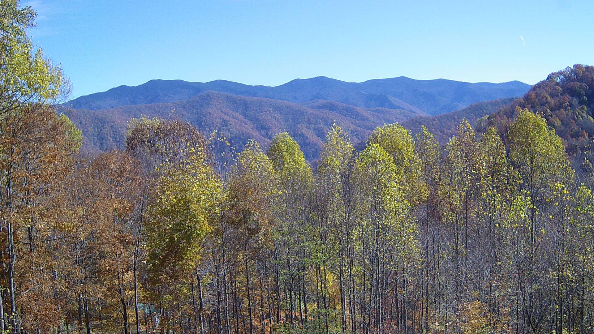 click for next image... slideshow image