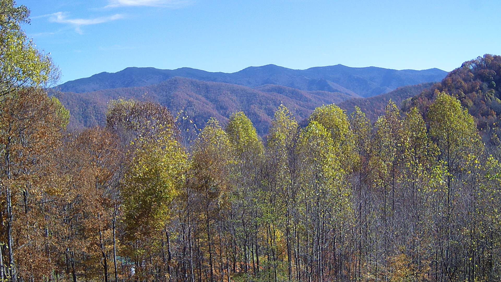 click for next image... slideshow image