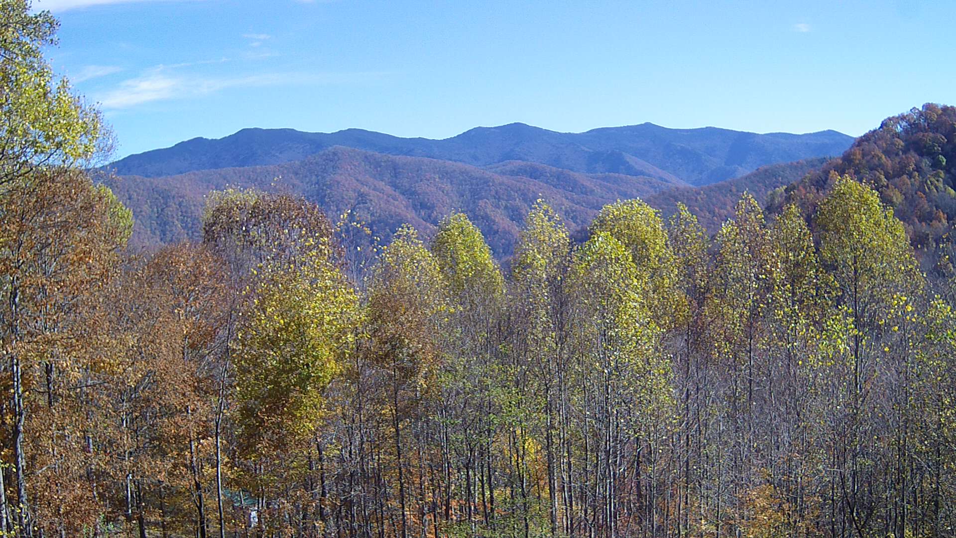 click for next image... slideshow image