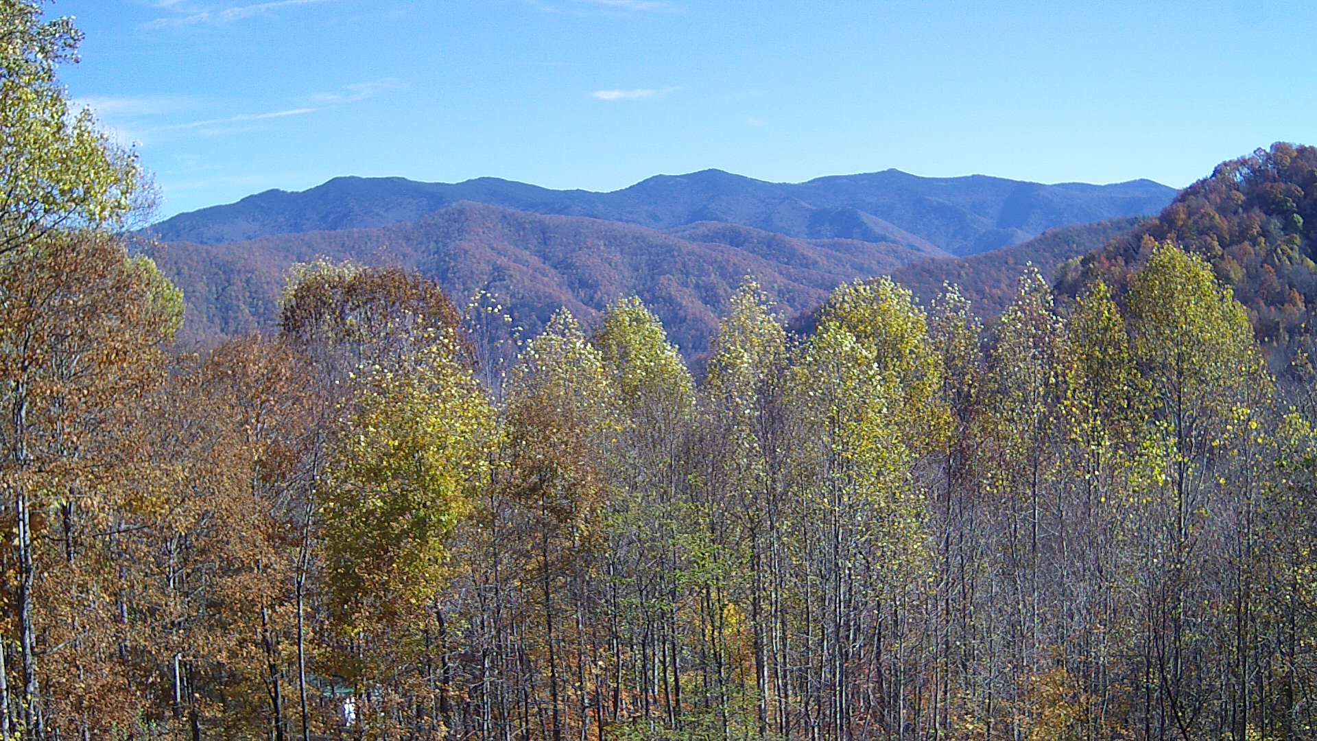 click for next image... slideshow image