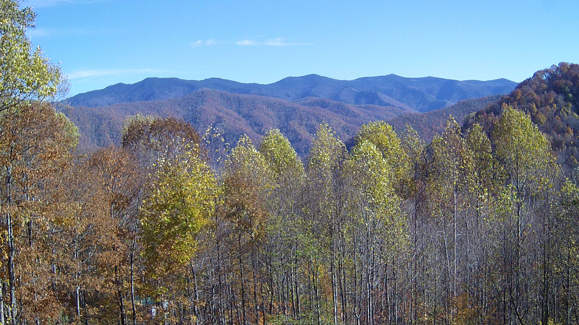 click for next image... slideshow image