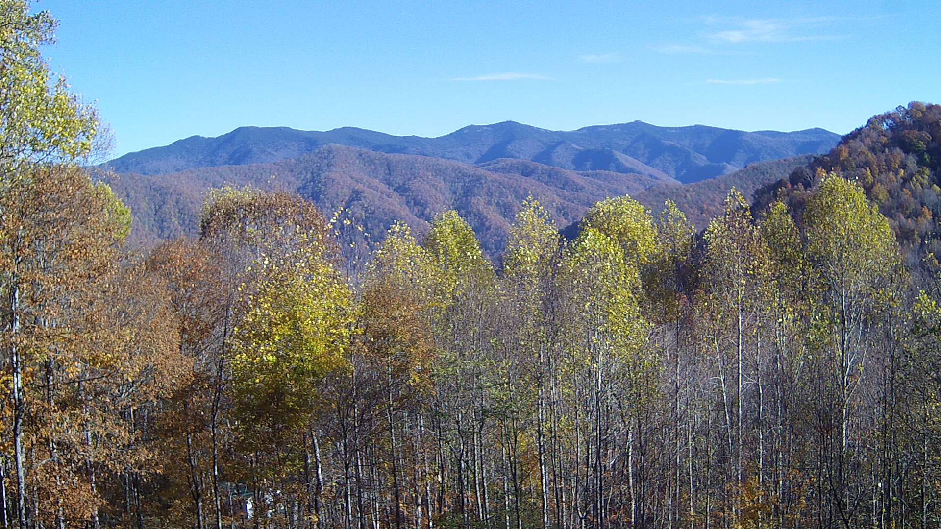 click for next image... slideshow image