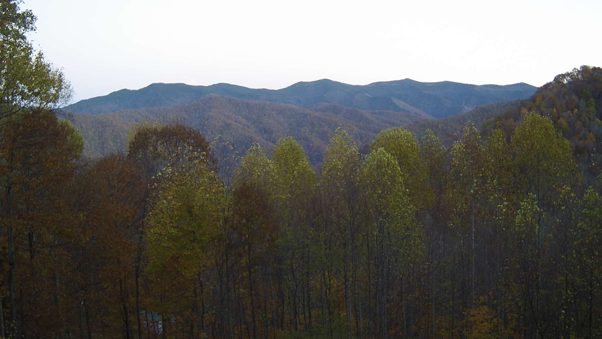 click for next image... slideshow image